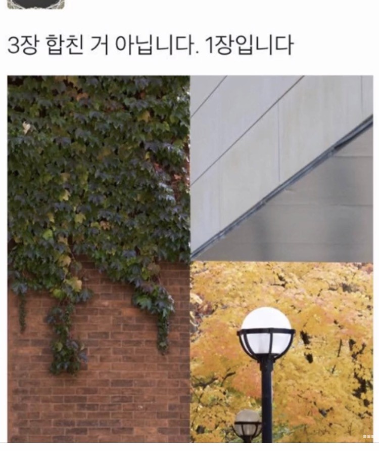 익들아 이게 어떻게 3장합친게 아니고 1장이야..? 나만 이해안돼?? | 인스티즈