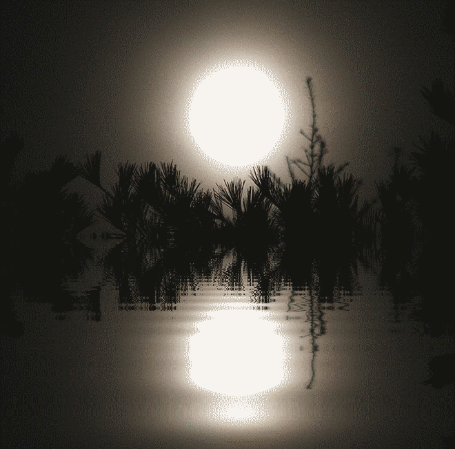 [방탄소년단/김태형/전정국] 화려한 복수 04 | 인스티즈