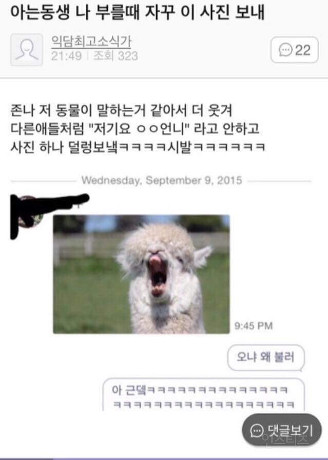 일상의 현웃 상황.jpg | 인스티즈