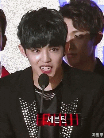 [세븐틴] 꽃길 | 인스티즈