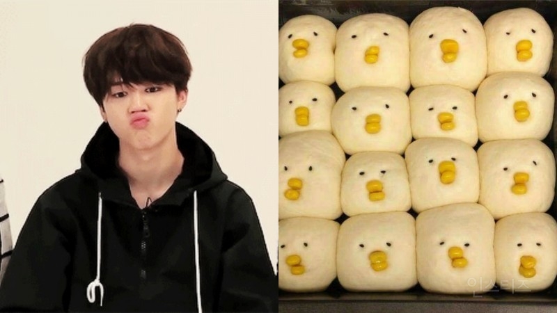 닮은꼴이 너무 많은 아이돌 그룹_ (ft. 방토토).jpg | 인스티즈