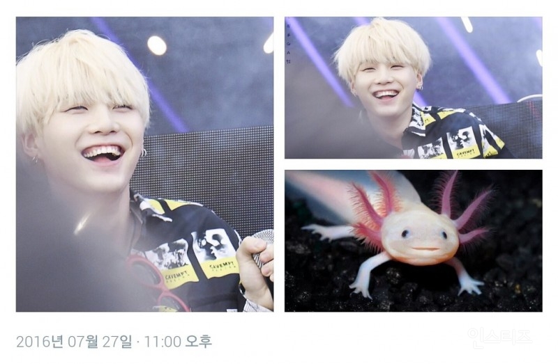 닮은꼴이 너무 많은 아이돌 그룹_ (ft. 방토토).jpg | 인스티즈