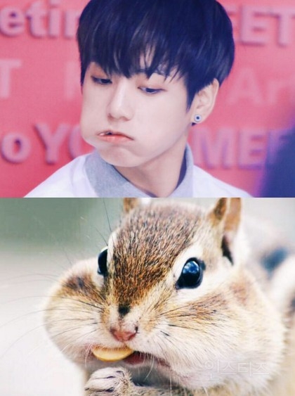 닮은꼴이 너무 많은 아이돌 그룹_ (ft. 방토토).jpg | 인스티즈