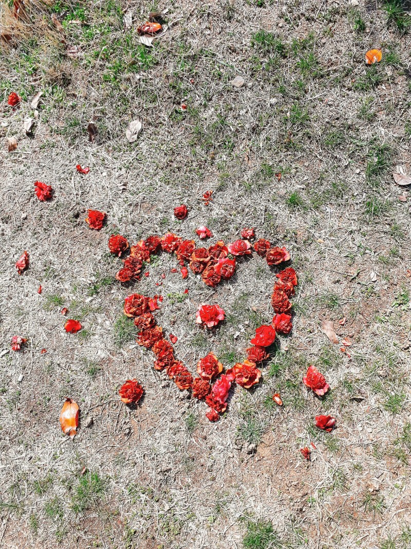 꽃 피었다 | 인스티즈