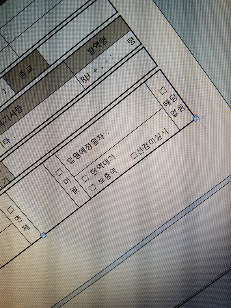 문서작성 잘하는 익인들 도와주세요ㅠㅠ | 인스티즈