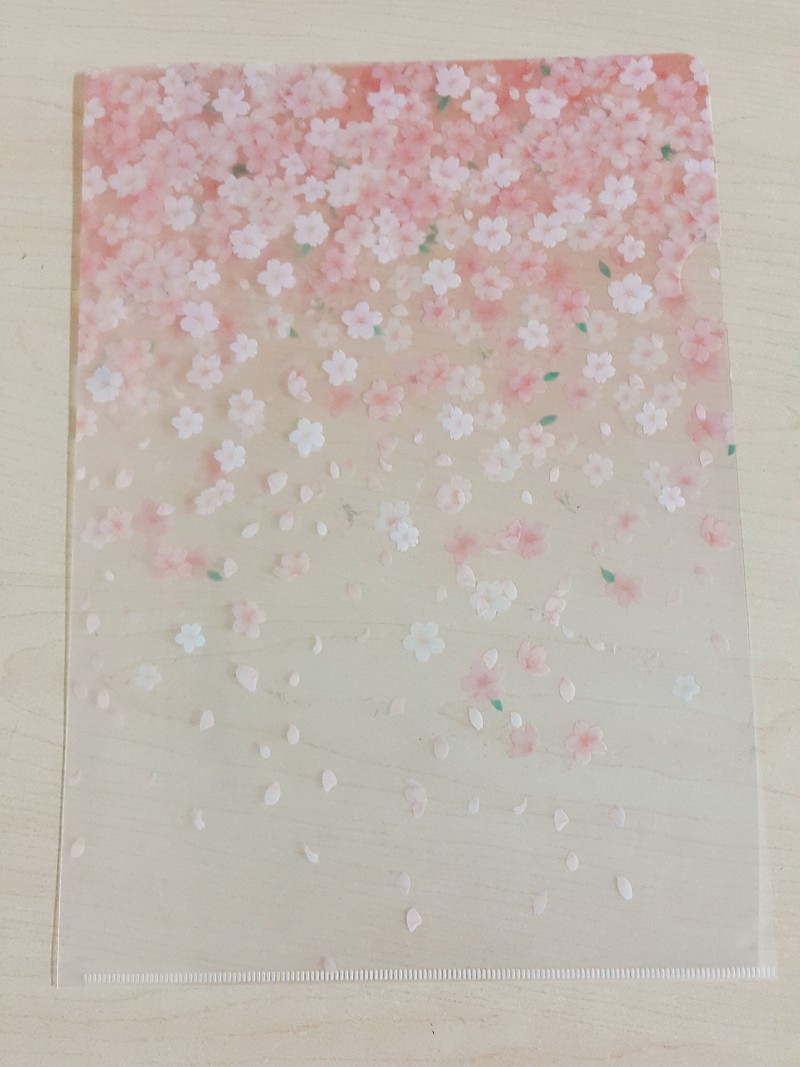 다이소 벚꽃파일 샀는데... | 인스티즈