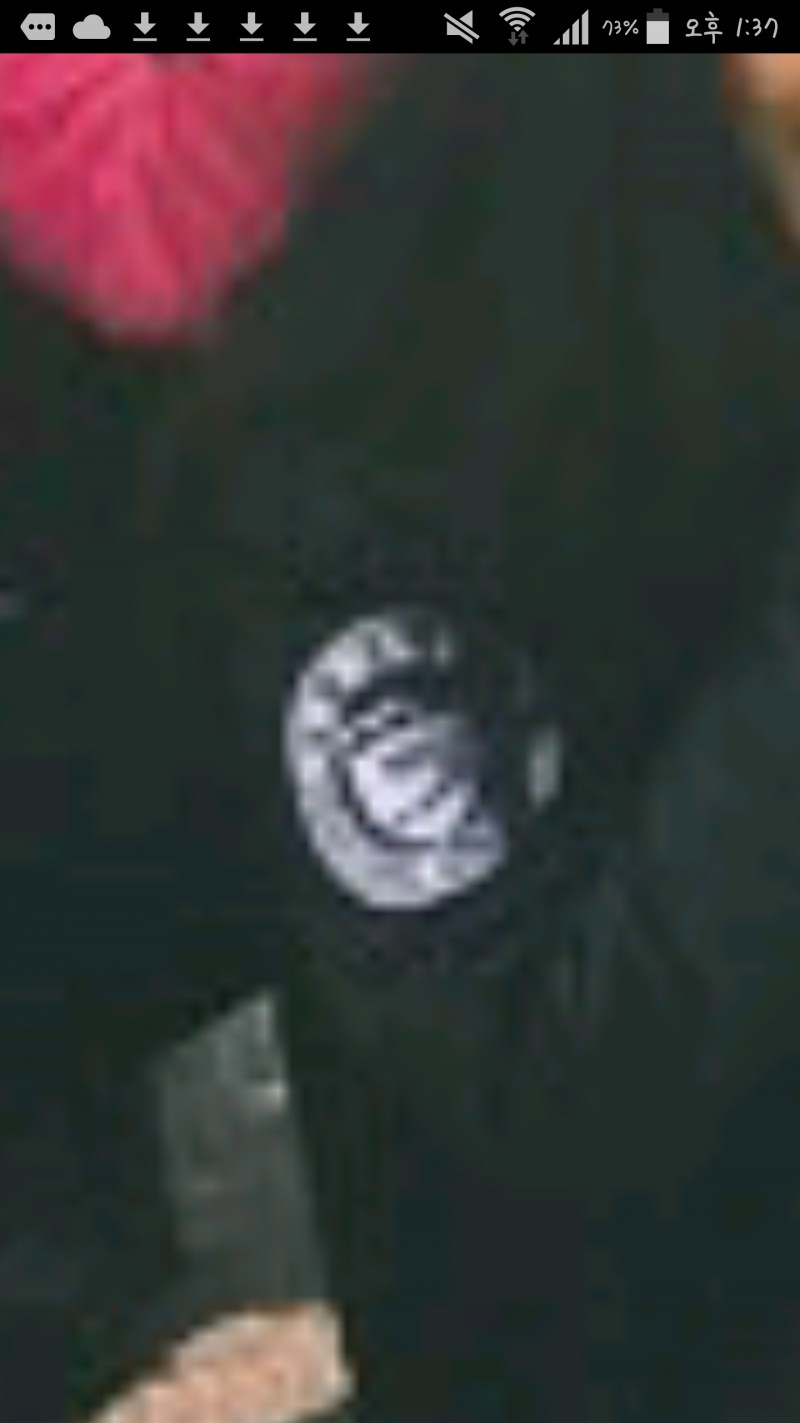 이거 어느 대학마크인지 아는 사람?? | 인스티즈