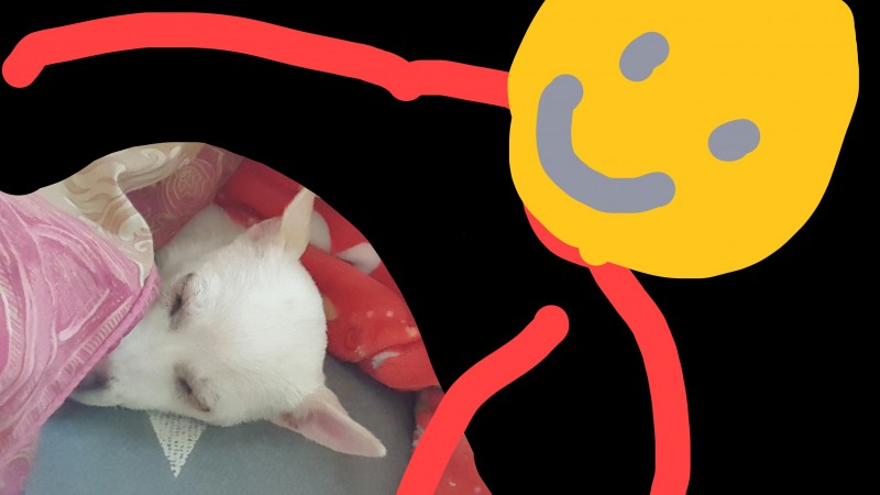 내가 주말을 사랑하는 이유 | 인스티즈