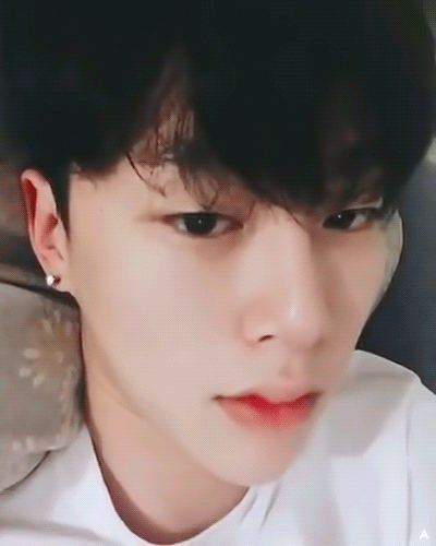 내 최애즈 보고싶다 | 인스티즈