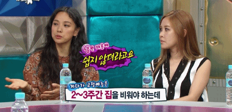 어제자 라스 휩쓴 이효리ㅋㅋㅋㅋ | 인스티즈