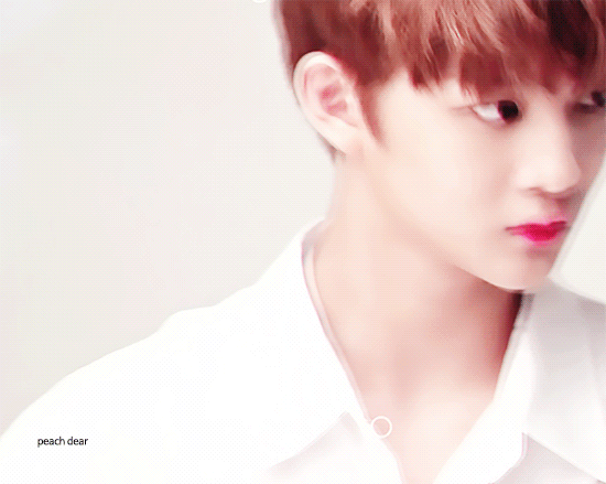 [워너원/배진영] 좋아해? 좋아해! #1 | 인스티즈