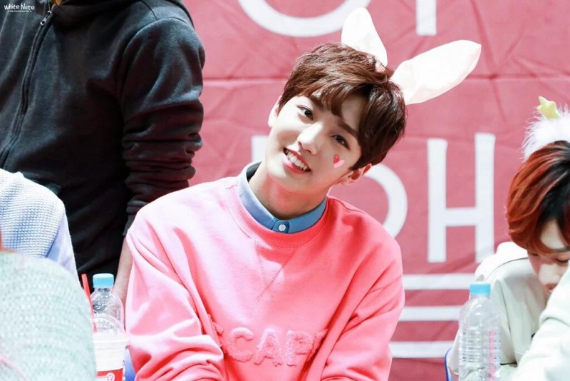주관적 가장 토끼를 닮은 남자 아이돌 3명.jpg | 인스티즈
