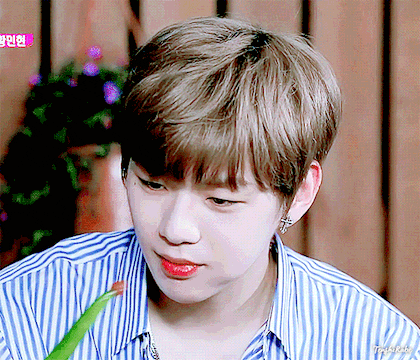 [워너원/옹성우] 반인반수 시베리안 허스키 옹성우 × 소심한 주인 8화 | 인스티즈