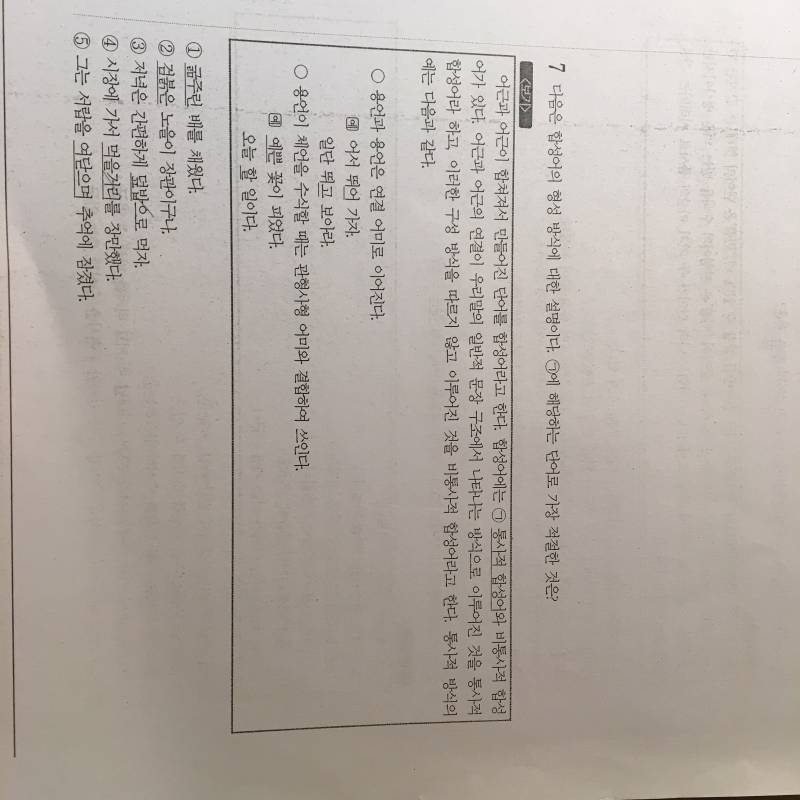 국어 문법문제 3개만 풀어주라..! | 인스티즈