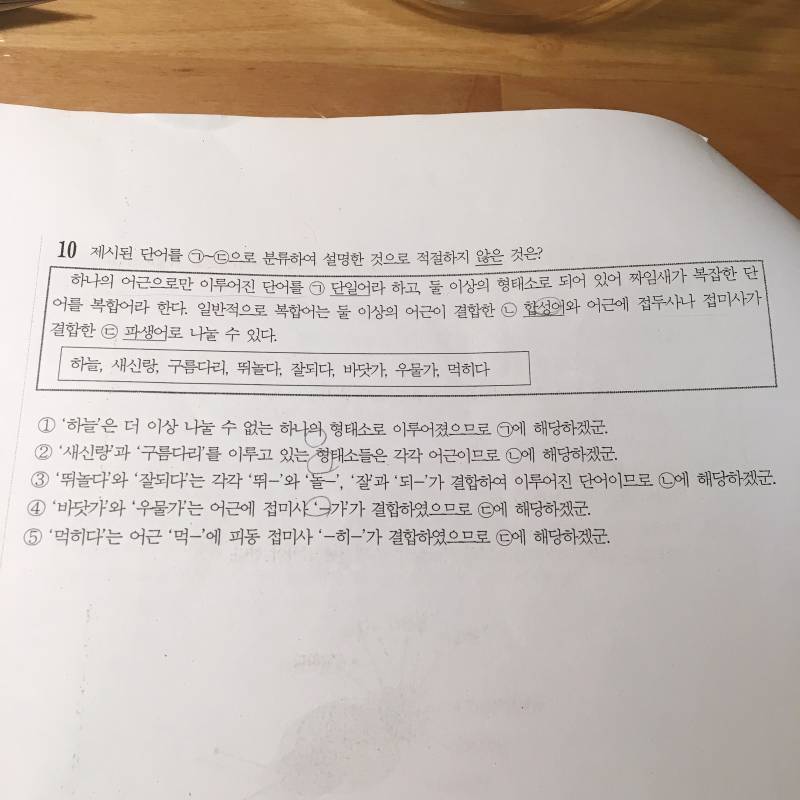 국어 문법문제 3개만 풀어주라..! | 인스티즈