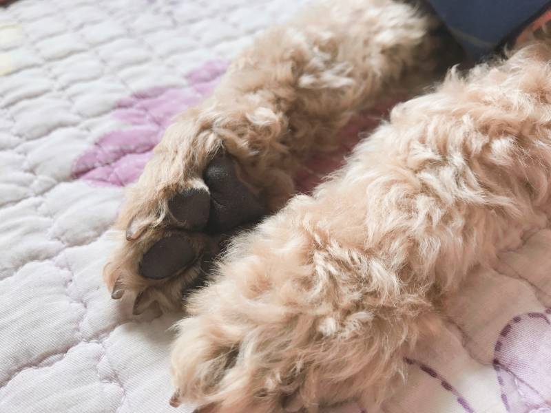 여러분 이거 보세요 | 인스티즈