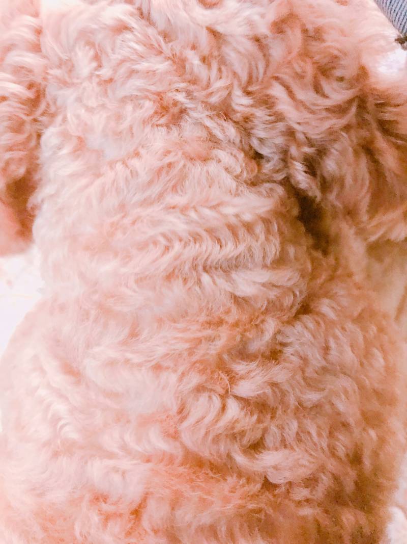 여러분 이거 보세요 | 인스티즈