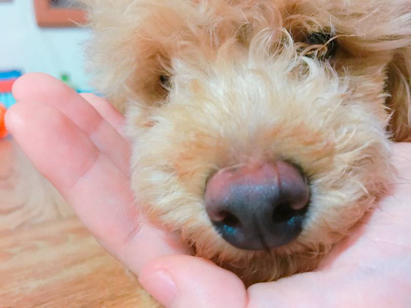 여러분 이거 보세요 | 인스티즈