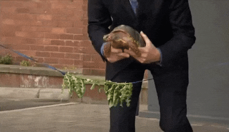 거북이와 함께한 커팅식.png | 인스티즈