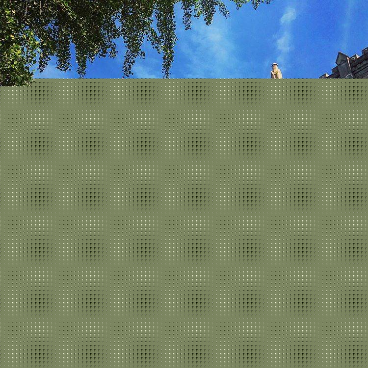 경희대학교 서울캠퍼스.jpg | 인스티즈