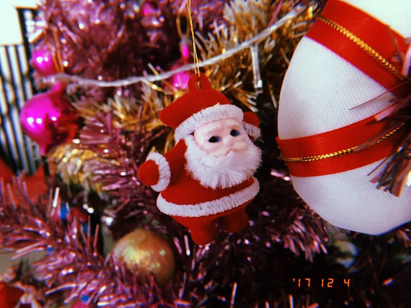 여행 갔다왔쪙 40 | 인스티즈