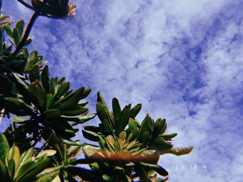 여행 갔다왔쪙 40 | 인스티즈