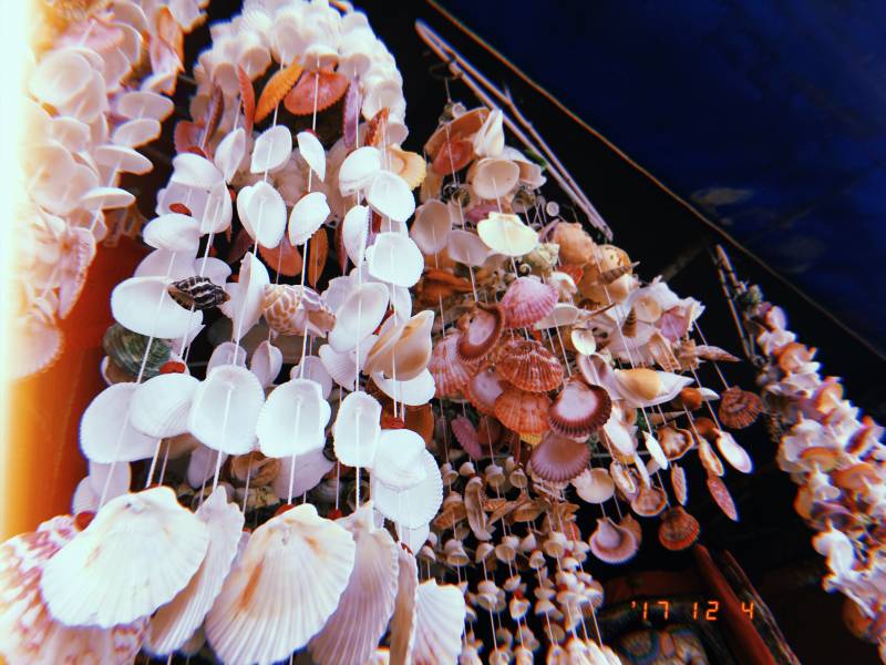 여행 갔다왔쪙 40 | 인스티즈