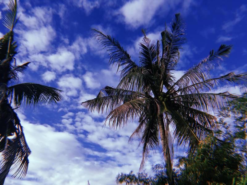 여행 갔다왔쪙 40 | 인스티즈