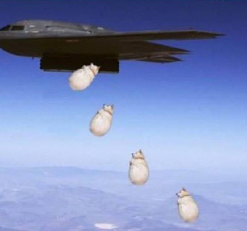 이 강아지 항아리 닮지않았니 | 인스티즈