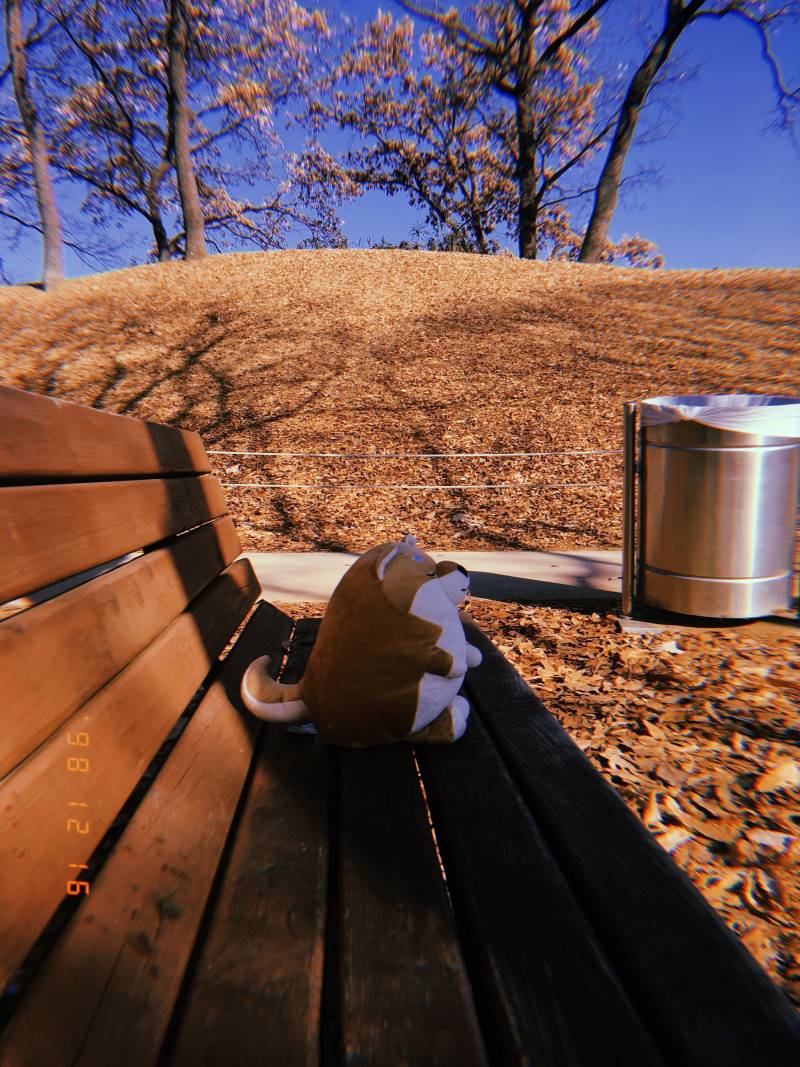 다이소 시바인형도 짱귀여우니까 봐주라40 | 인스티즈