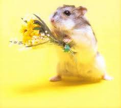 지금 이미지 구글링 되는 사람?? | 인스티즈