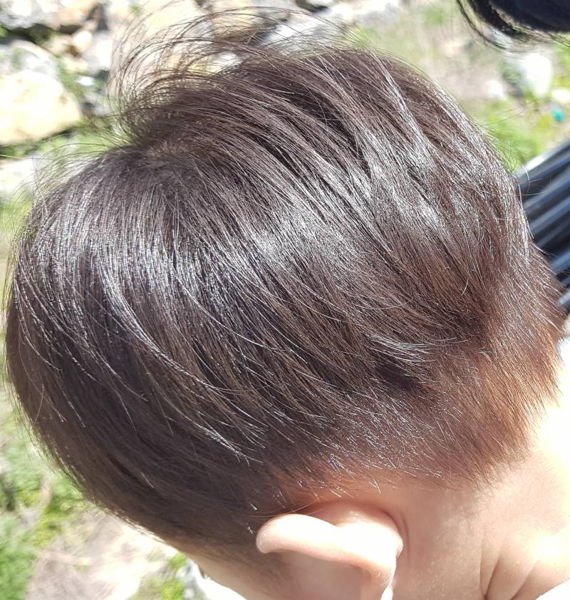 나도 인기글따라 자연갈색 자랑해야징~ㅎㅎ | 인스티즈