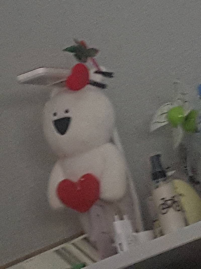 울집 오버액션토끼들 | 인스티즈