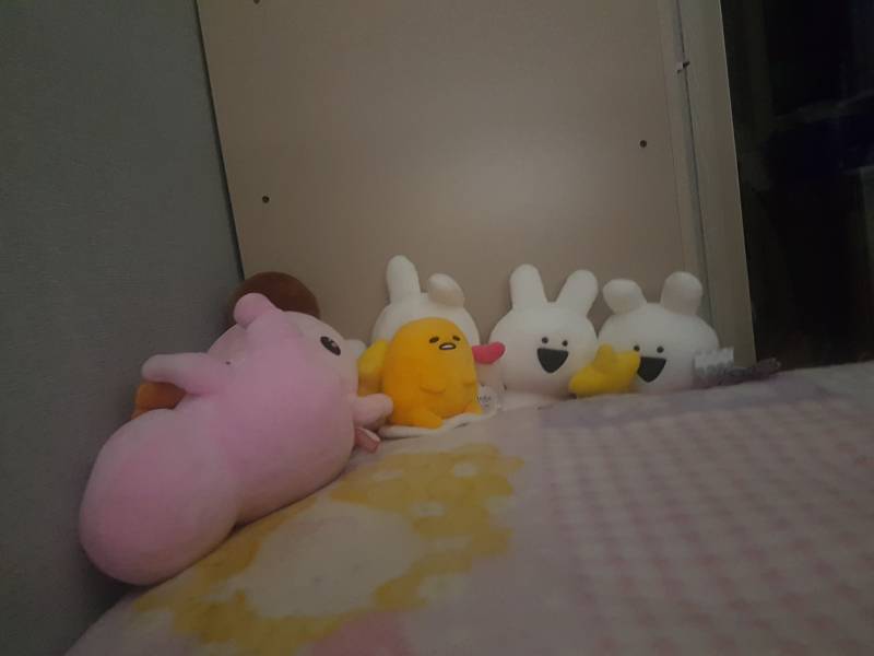 울집 오버액션토끼들 | 인스티즈