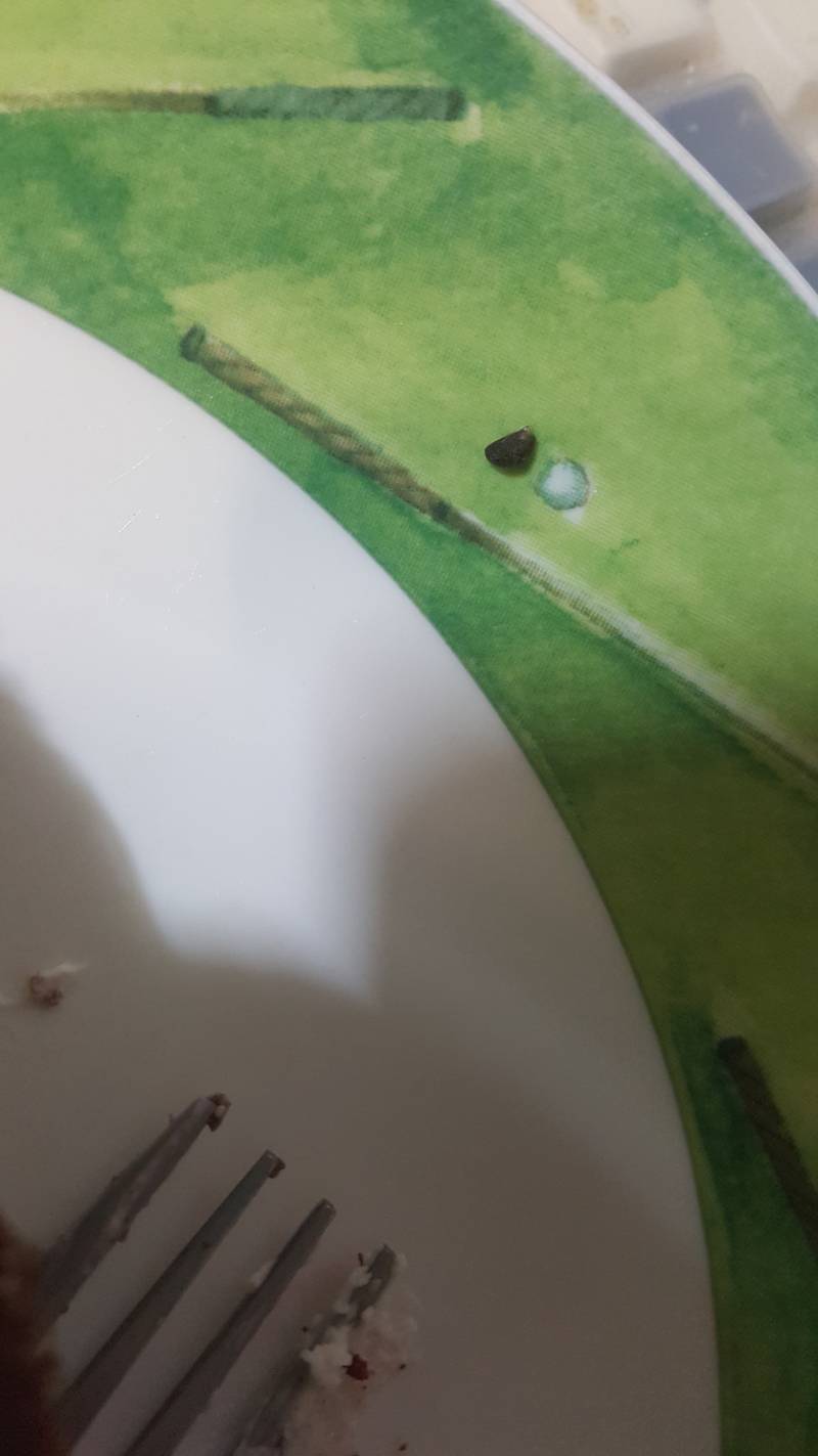 케이크에서 이런거 나왔는데 뭘까 | 인스티즈