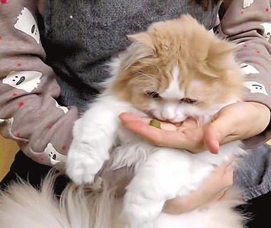 먹을때 혀가 보이는데 귀엽다니 | 인스티즈