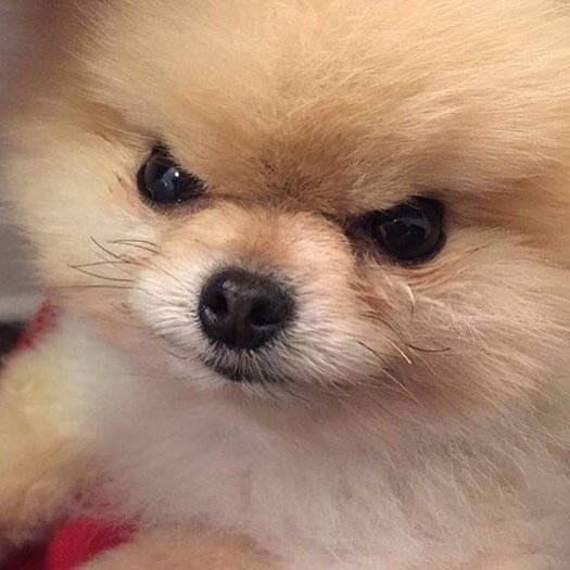 이런 귀여운 짤있는 익..?ㅠㅠㅜ | 인스티즈