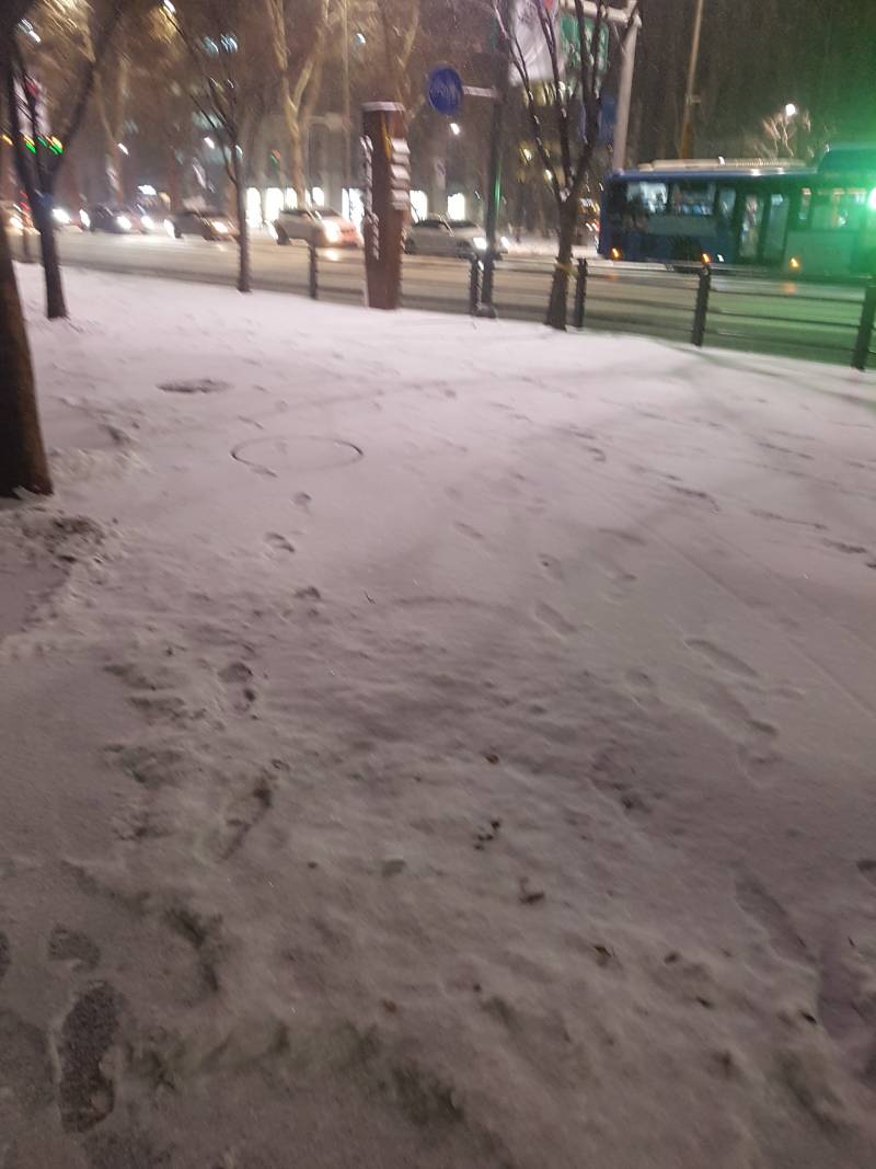 눈 엄청와ㅠㅠㅠ나갈때 든든하게 입고 우산 꼭 챙겨! | 인스티즈