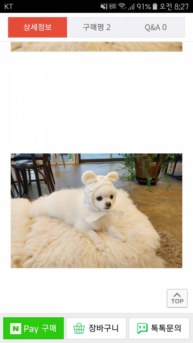 우리 강아지 이거 사줄거당 ? | 인스티즈