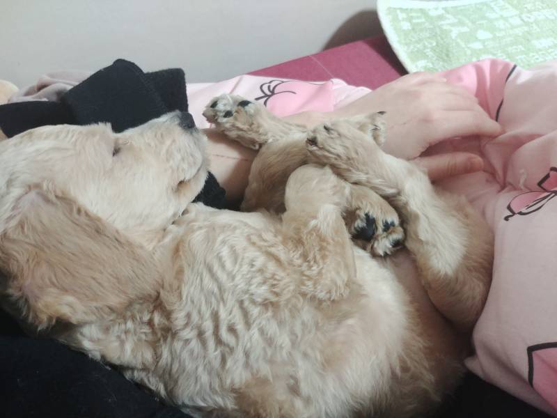 우리애기 자는 거 볼래? | 인스티즈