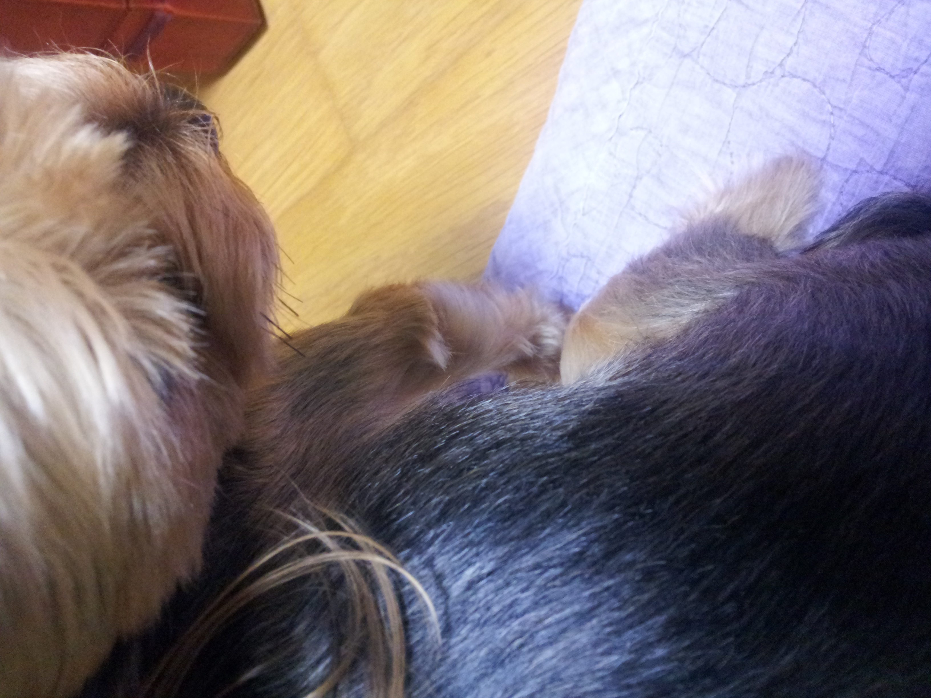 우리집 봉이오빠 40 | 인스티즈