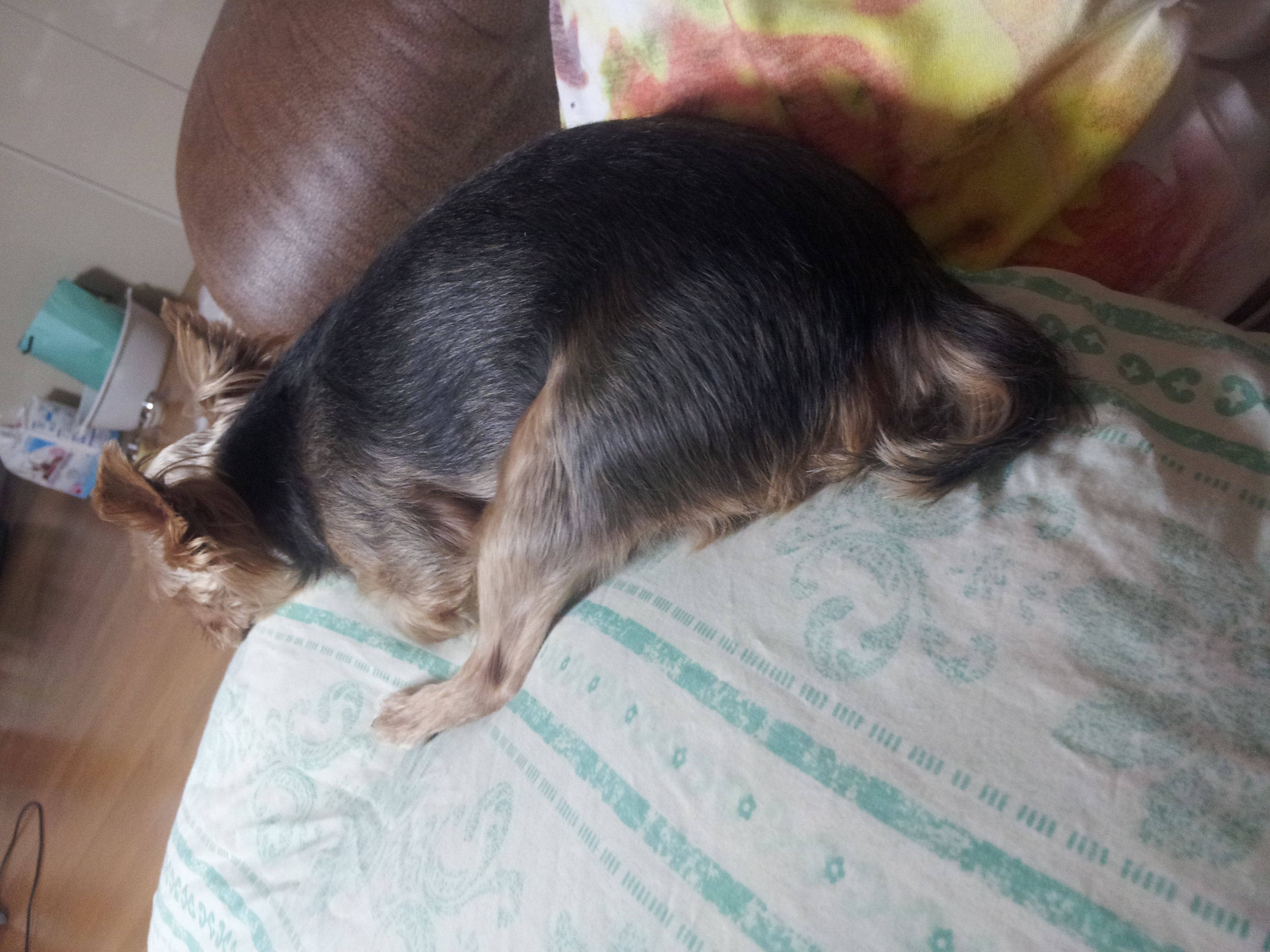 우리집 봉이오빠 40 | 인스티즈