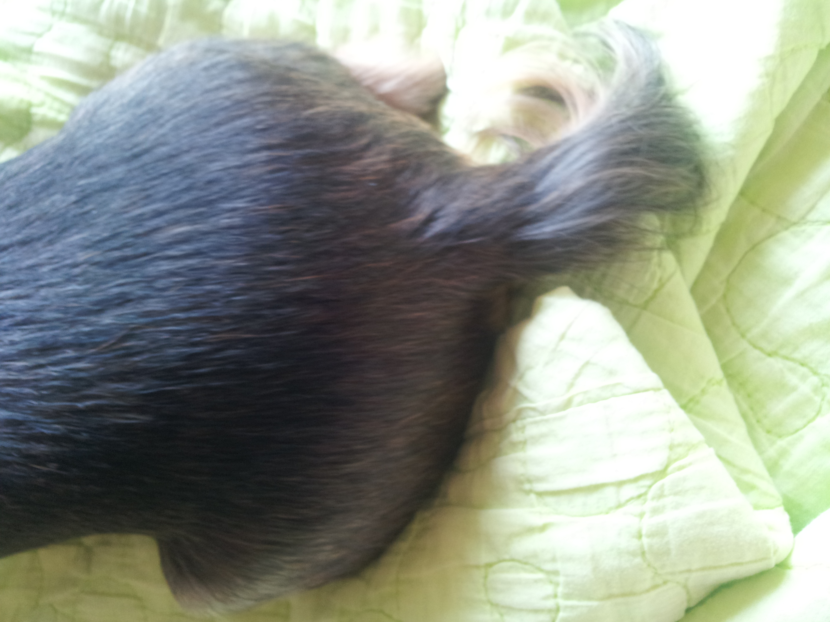 우리집 봉이오빠 40 | 인스티즈