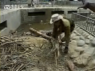 처참히 집을 부숴버리는..jpg | 인스티즈