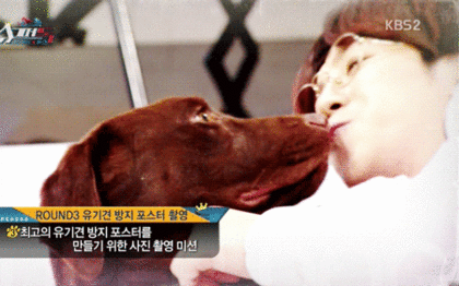 제 본진 귀염둥이 영업 | 인스티즈