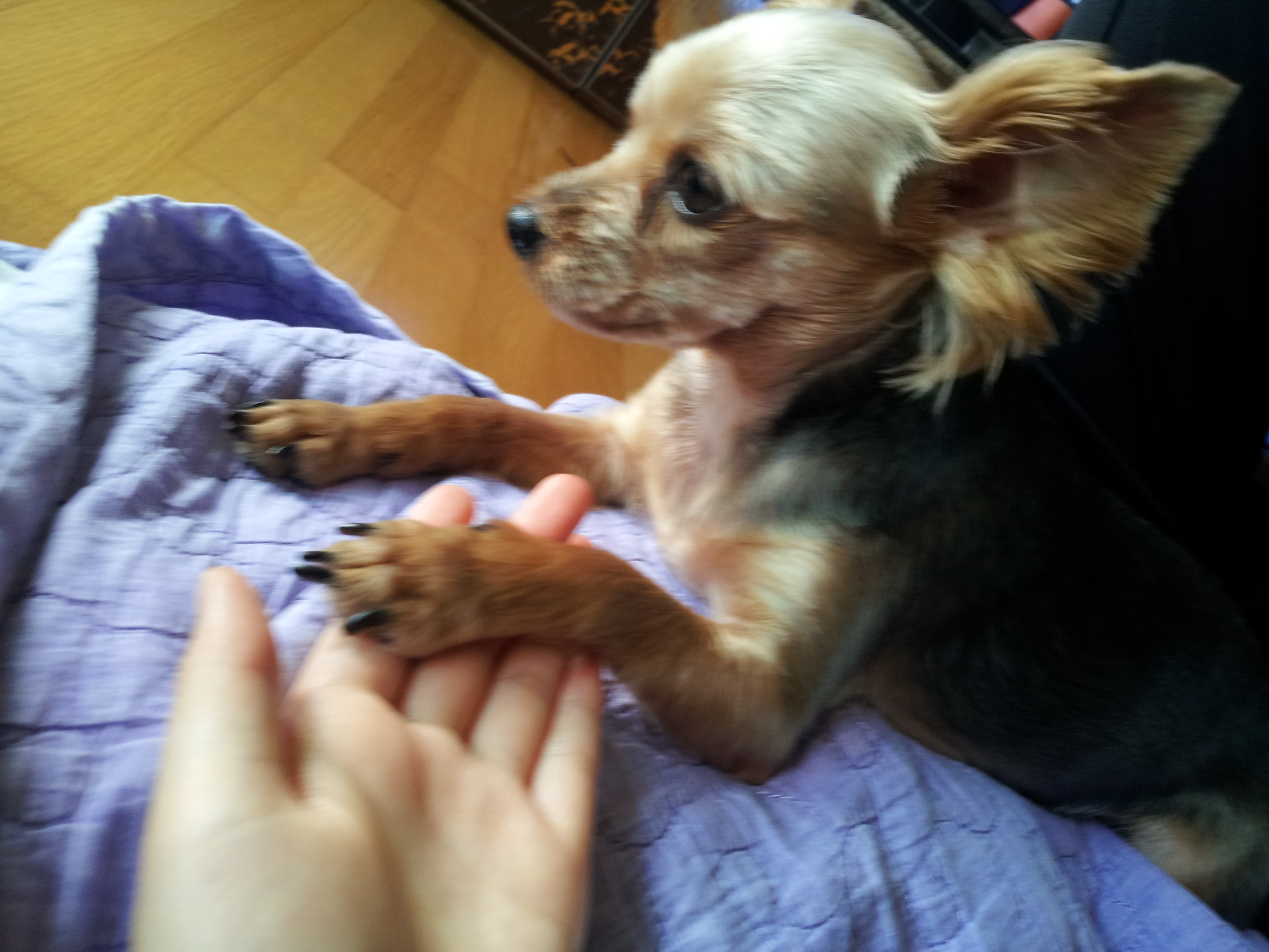 우리집 봉이오빠 40 | 인스티즈