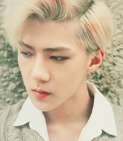 [EXO/루한세훈] 차분하게, 하지만 짙게. 1 | 인스티즈