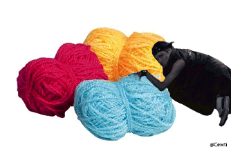 진정한 개냥이의 표본 (feat.exo) | 인스티즈