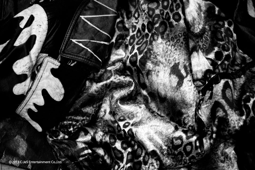 Image and video hosting by TinyPic