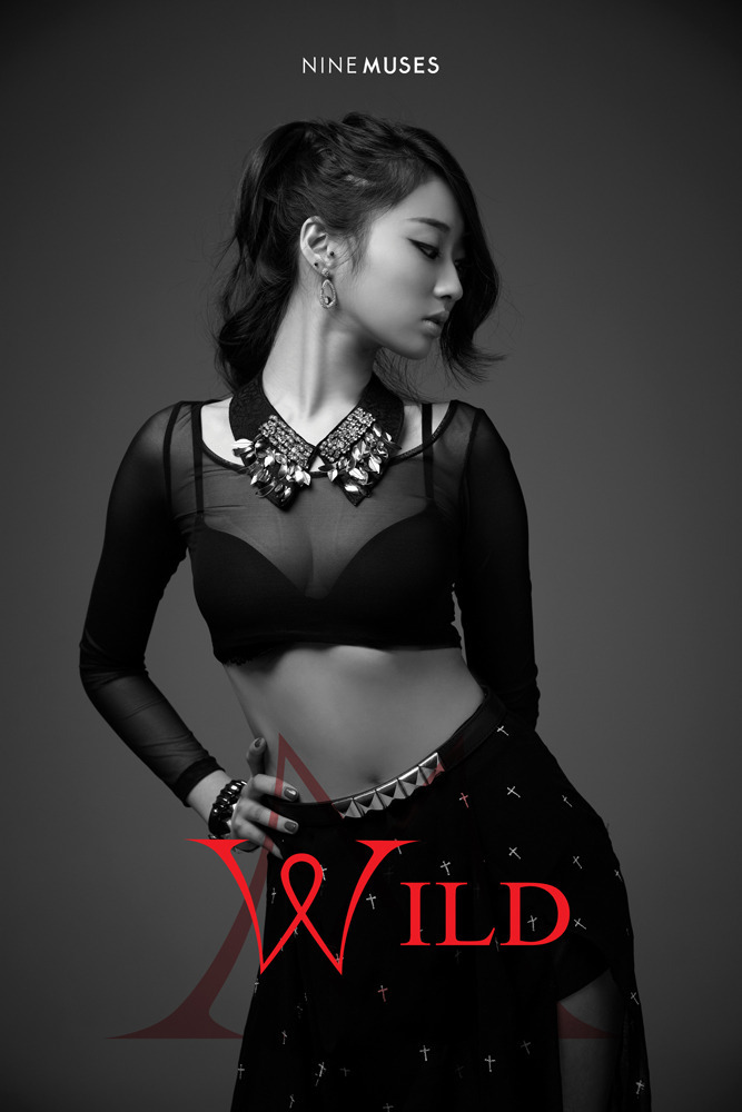 9일(목), 나인뮤지스(Nine Muses) 미니 앨범 2집 'Wild' 발매 예정 | 인스티즈